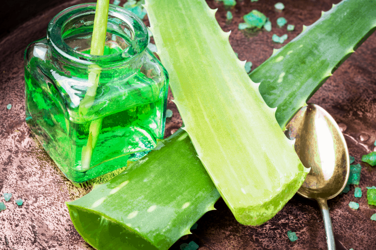 aloe vera gel as toner